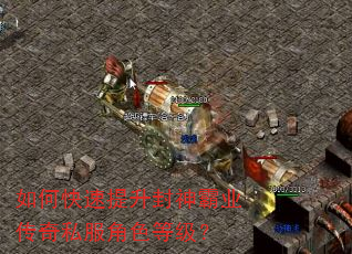 如何快速提升封神霸业传奇私服角色等级? 如何快速提升封神霸业传奇私服角色等级?