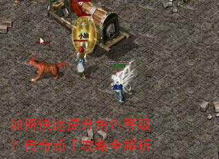 如何快速提升角色等级?传奇新手攻略全解析 如何快速提升角色等级?传奇新手攻略全解析