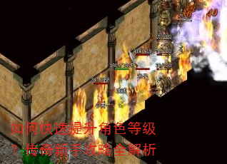 如何快速提升角色等级?传奇新手攻略全解析 如何快速提升角色等级?传奇新手攻略全解析