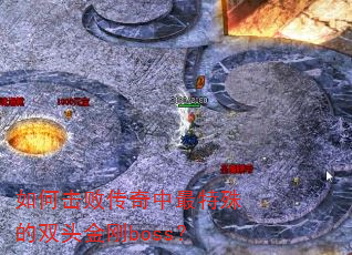 ��λ��ܴ������������˫ͷ���boss��