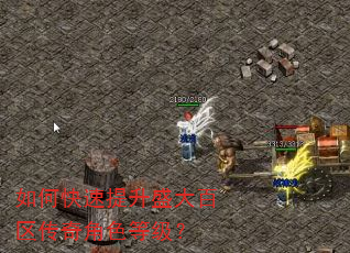 如何快速提升盛大百区传奇角色等级? 如何快速提升盛大百区传奇角色等级?