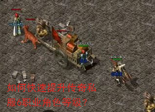 如何快速提升传奇私服6职业角色等级? 如何快速提升传奇私服6职业角色等级?
