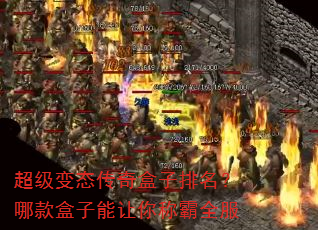 ������̬��������������Ŀ����������ư�ȫ��