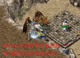 �����Ϳѻ�������������Դ��䲢��ѡ���װ����