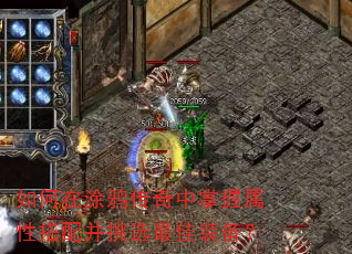 �����Ϳѻ�������������Դ��䲢��ѡ���װ����