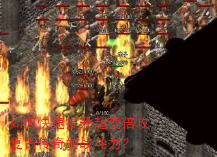 ��ο����������䱶�����Ŵ����ս������