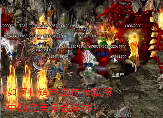 ��δ�����Ѫ����˽���е�������ɫ���ģ�