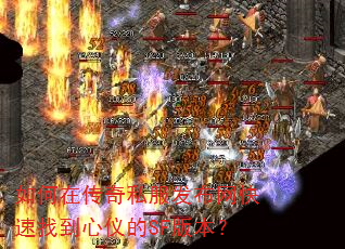 ����ڴ���˽�������������ҵ����ǵ�SF�汾��