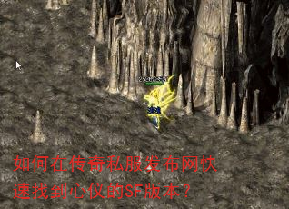 ����ڴ���˽�������������ҵ����ǵ�SF�汾��