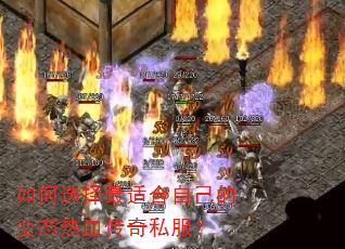 如何选择最适合自己的变态热血传奇私服? 如何选择最适合自己的变态热血传奇私服?