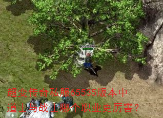 ���䴫��˽��65535�汾�е�ʿ��սʿ�ĸ�ְҵ��������