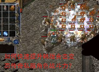 如何快速提升韩版合击变态传奇私服角色战斗力? 如何快速提升韩版合击变态传奇私服角色战斗力?
