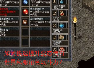 如何快速提升变态传奇世界私服角色战斗力? 如何快速提升变态传奇世界私服角色战斗力?