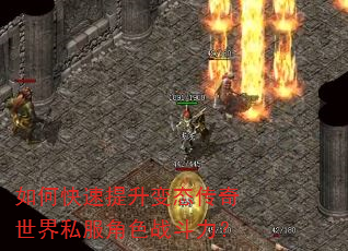 如何快速提升变态传奇世界私服角色战斗力? 如何快速提升变态传奇世界私服角色战斗力?