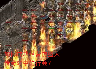 ��γɹ���Ӫ��ʢ����SF�е��л᣿