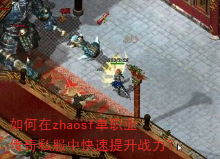 �����zhaosf��ְҵ����˽���п�������ս����