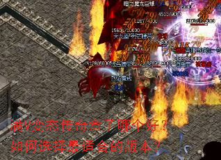 ��V��̬��������ĸ��ã����ѡ�����ʺϵİ汾��
