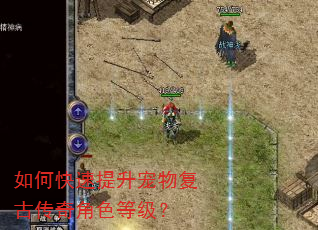 如何快速提升宠物复古传奇角色等级? 如何快速提升宠物复古传奇角色等级?
