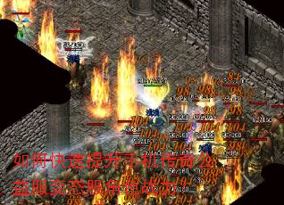 ��ο��������ֻ����湫�����̬����ɫս����