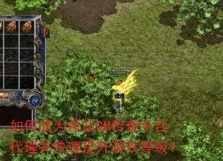 如何成为包站GM传奇平台代理并快速提升游戏等级? 如何成为包站GM传奇平台代理并快速提升游戏等级?