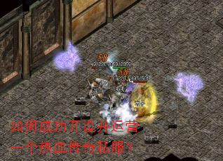 ��γɹ����貢��Ӫһ����Ѫ����˽����