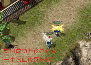 ��γɹ����貢��Ӫһ����Ѫ����˽����