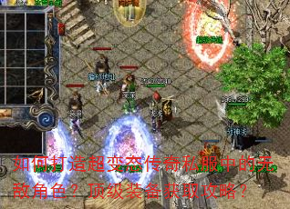 ��δ��쳬��̬����˽���е��޵н�ɫ������װ����ȡ���ԣ�