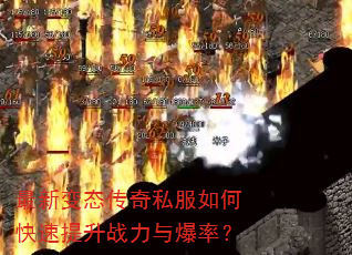 ���±�̬����˽����ο�������ս���뱬�ʣ�