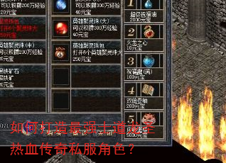 如何打造最强士道龙圣热血传奇私服角色? 如何打造最强士道龙圣热血传奇私服角色?