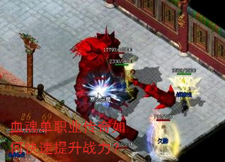 Ѫ�굥ְҵ������ο�������ս����