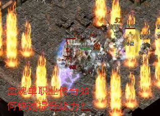 Ѫ�굥ְҵ������ο�������ս����