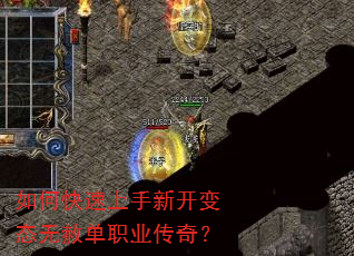 ��ο��������¿���̬���ⵥְҵ���棿