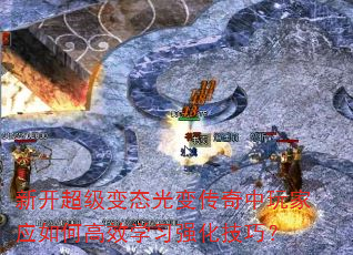 �¿�������̬��䴫�������Ӧ��θ�Чѧϰǿ�����ɣ�