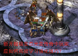 �¿�������̬��䴫�������Ӧ��θ�Чѧϰǿ�����ɣ�