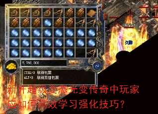 �¿�������̬��䴫�������Ӧ��θ�Чѧϰǿ�����ɣ�