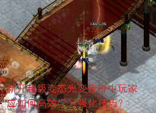 �¿�������̬��䴫�������Ӧ��θ�Чѧϰǿ�����ɣ�