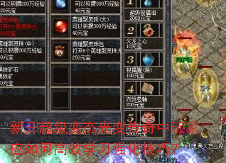 �¿�������̬��䴫�������Ӧ��θ�Чѧϰǿ�����ɣ�