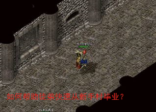 ��ΰ���ͽ�ܿ��ٴ����ִ��ҵ��
